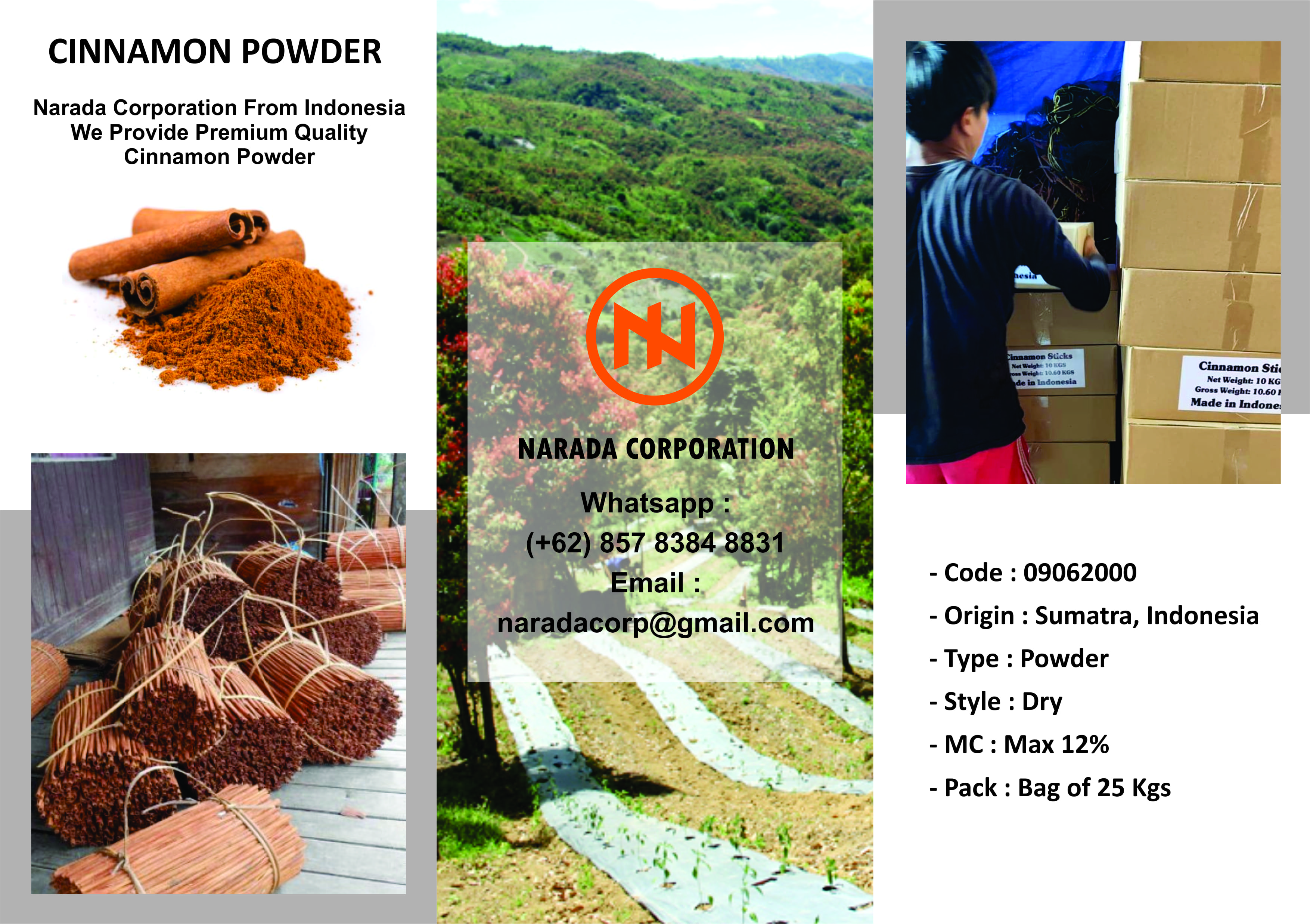 Cinnamon Powder